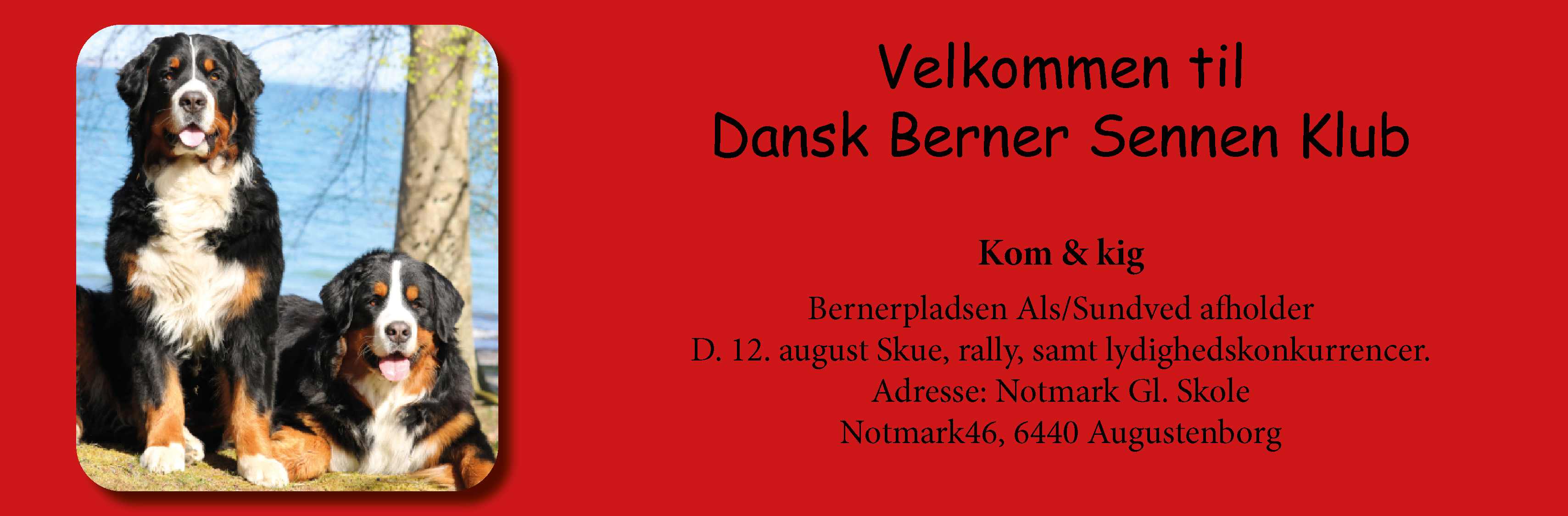 udstillingskalender-dansk-berner-sennen-klub