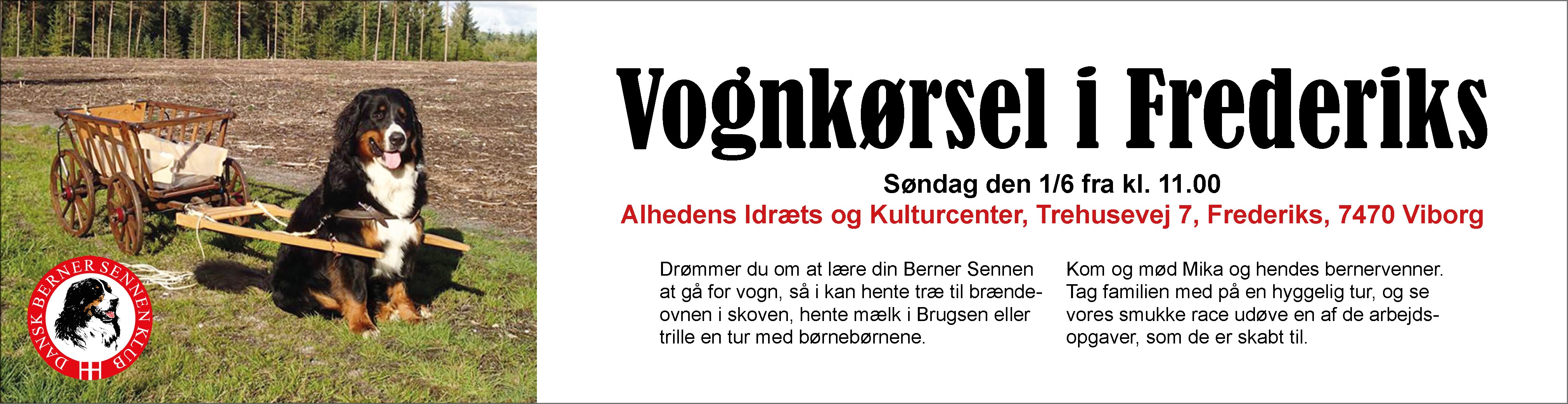 Dansk Berner sennen Klub