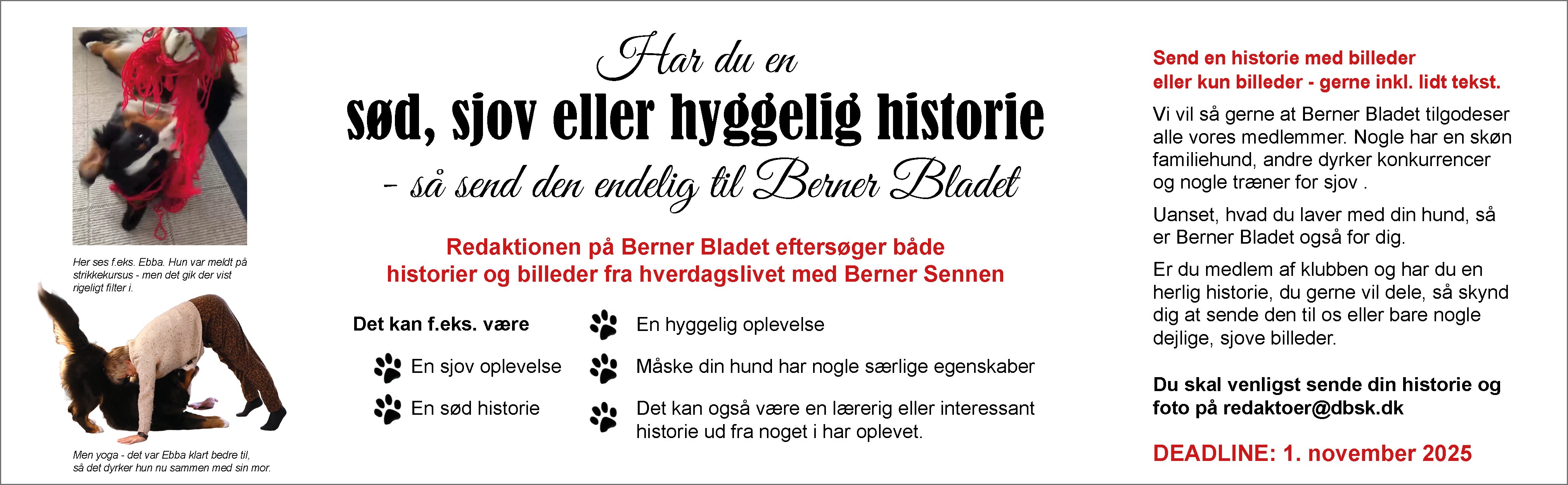 Dansk Berner sennen Klub
