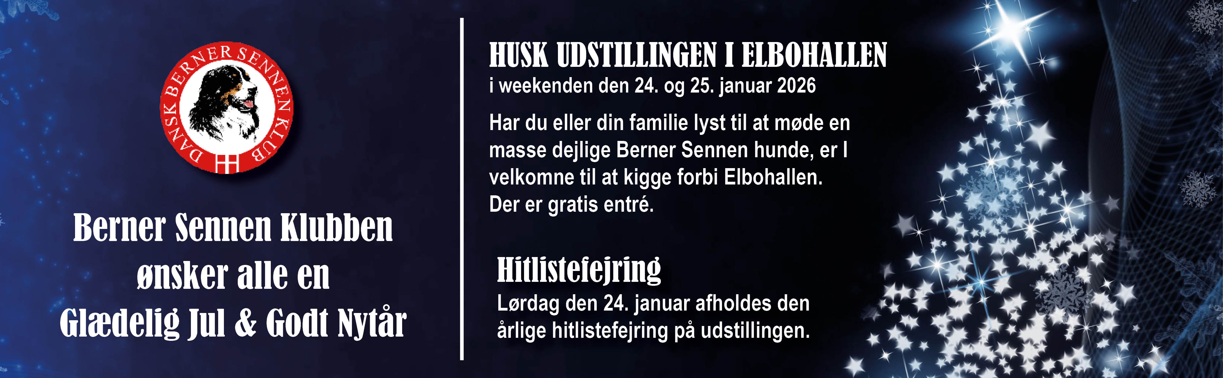 Dansk Berner sennen Klub