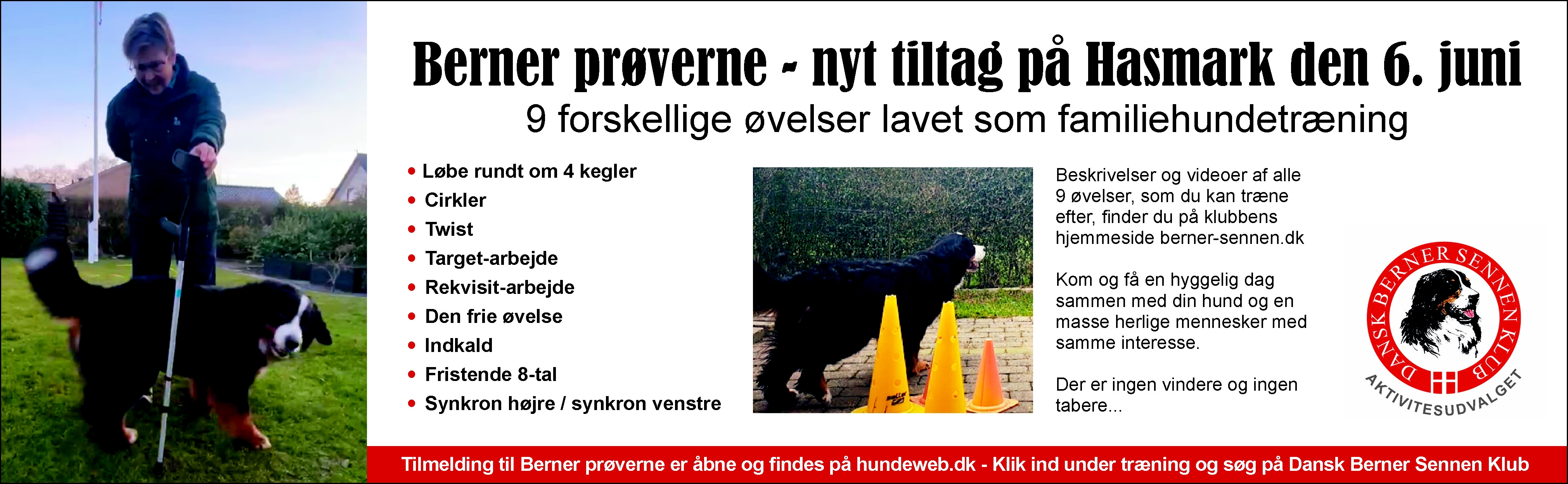 Dansk Berner sennen Klub