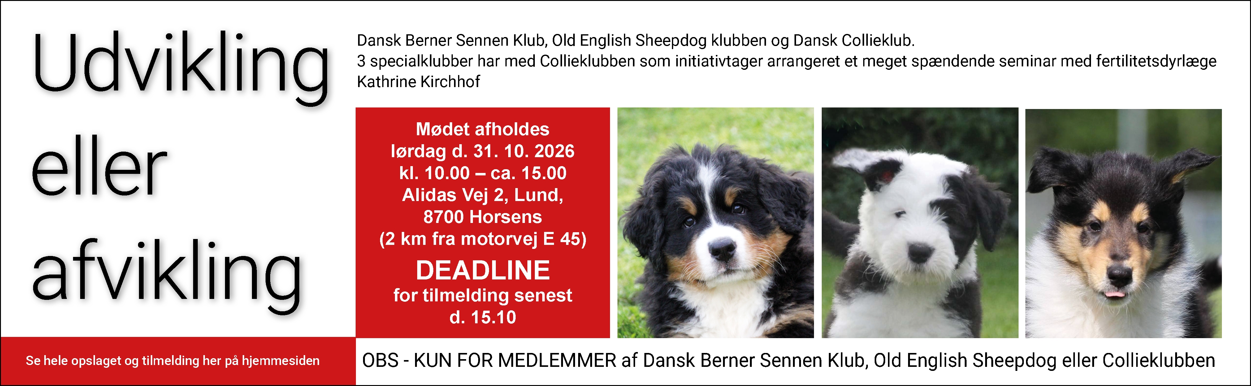 Dansk Berner sennen Klub
